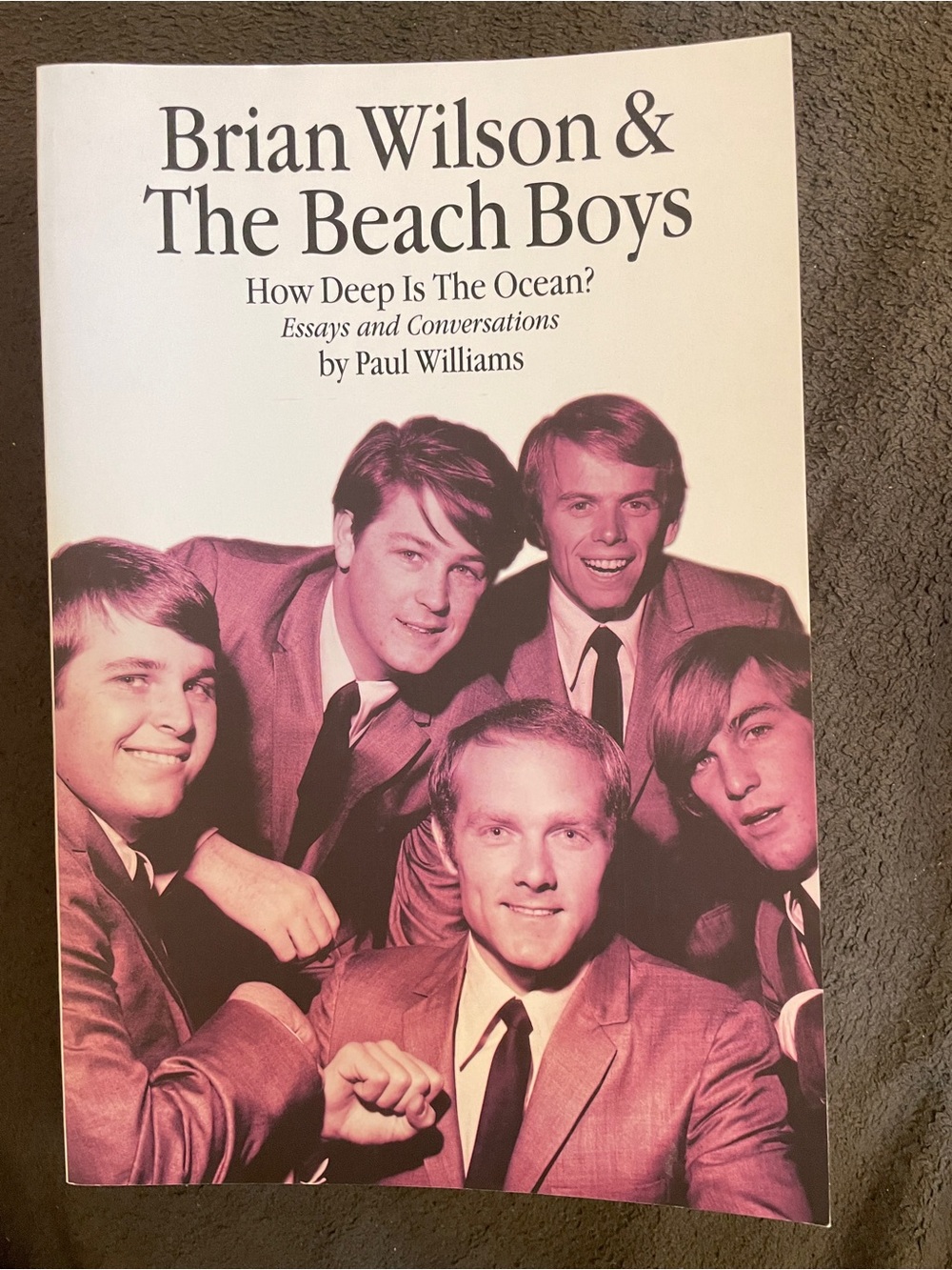 Brian Wilson & The Beach Boys BOOK How Deep is the Ocean Essays & Conversations